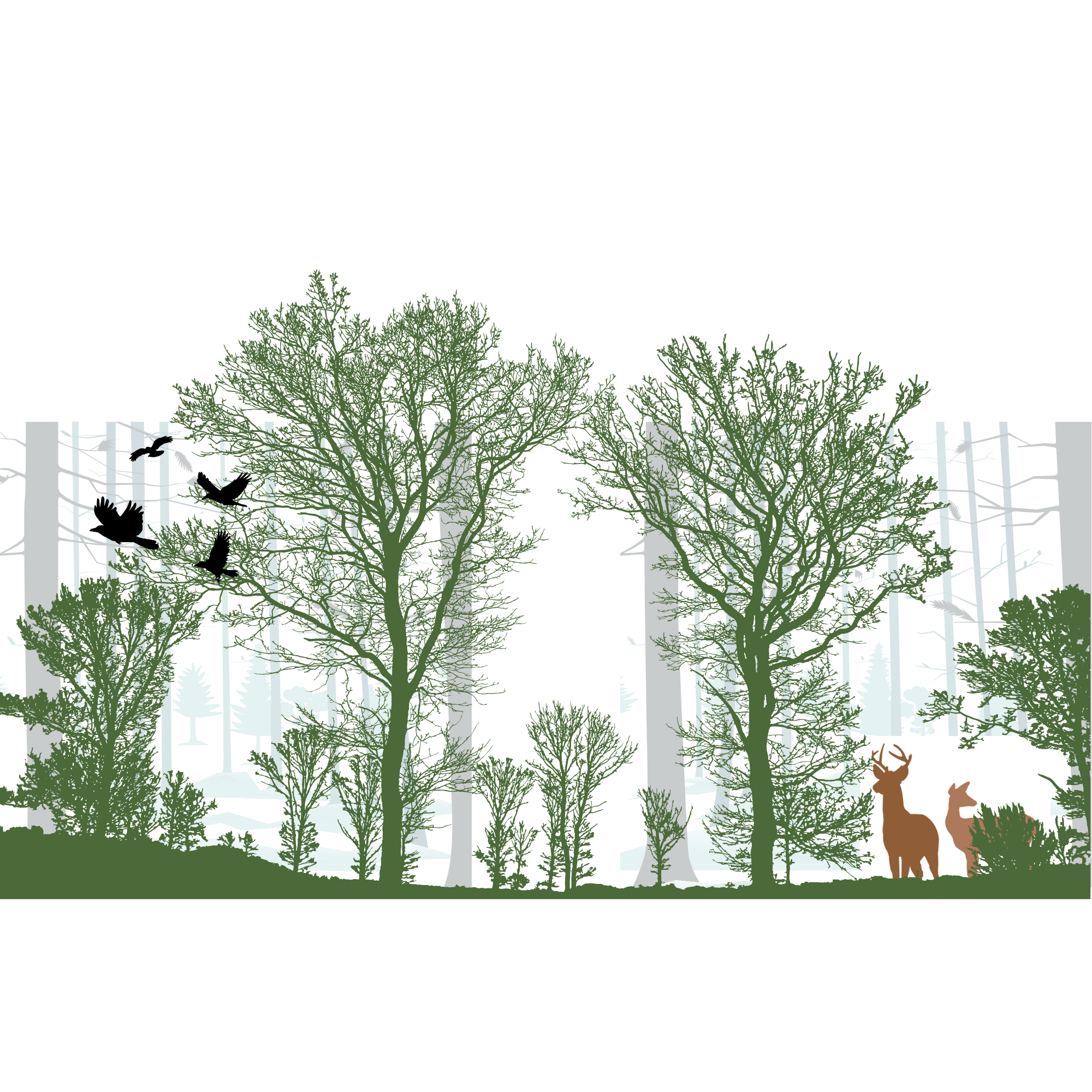 Northern Hardwoods Research